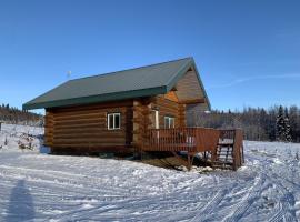 The Chena Valley Cabin, perfect for aurora viewing, Hütte in Pleasant Valley
