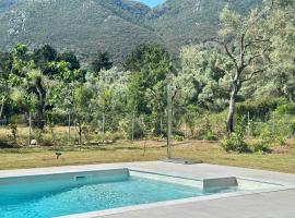 Splash Suites with Private Pools