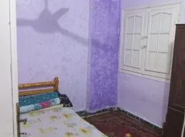 الاسكندرية العجمي الهانوفيل