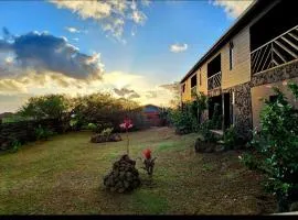 Apartamentos Tupuna Lodge、ハンガ・ロアのバケーションレンタル
