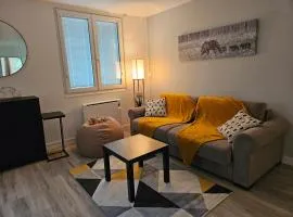 Chez Louise, Appartement T3 à deux pas du centre