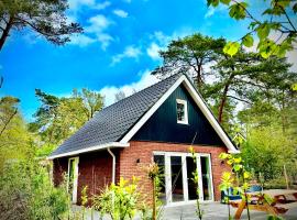 Luxe boshuis Veluwe - Foss Lodge - luxury forest retreat, viešbutis mieste Niunspetas
