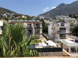 Stone House Aparts 1 plus 1 mit Poolterrasse Kalkan No 1