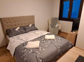 Apartman Imperator Vrnjačka Banja, hotel v destinaci Vrnjačka Banja