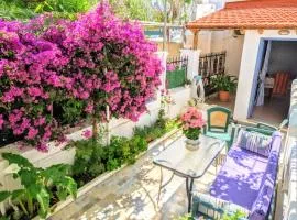 House with garden in city of Rhodes