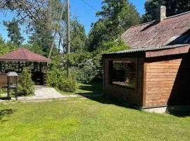 Дом на берегу Чудского озера