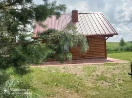Nad żabim stawem