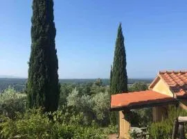 Casa Belvedere -tranquillità tra bosco e ulivi-