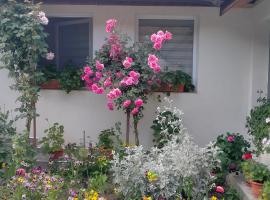 Casa Luminița, cottage in Eşelniţa