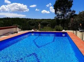 Studio with private pool enclosed garden and wifi at Santiago do Cacem 3 km away from the beach
