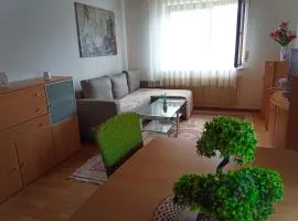 Apartment Menesa