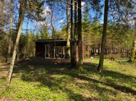 Miško sielos namelis su pirtele, vacation home in Aukštelkė