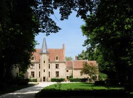 Château - Hôtel Le Sallay, hotel in Magny-Cours