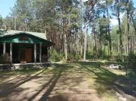 Fantastyczny domek w lesie