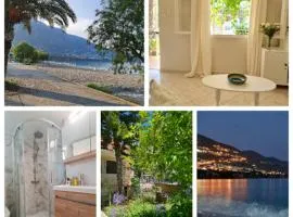Paralia Nest