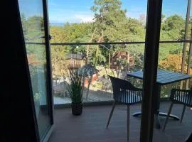 A comfortable apartment for 3 people in Pobierowo