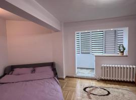 Studio in the city center, hotel with parking in Nehoiu