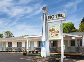 Apple Blossom Boutique, hotel in Mackinaw City