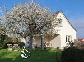 Ferienhaus Hummel-Nest