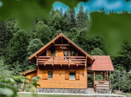 Central Chalet, cabin in Vărşag