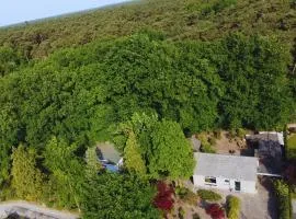 Cozy Forest Cabin, Fenced Garden, Peace & Privacy