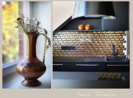 Nora Terakota, hotel in Nida