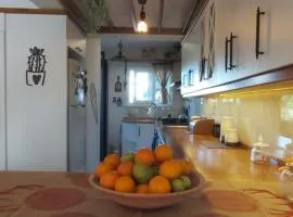 Havuzlu Bahçeli Müstakil Villa