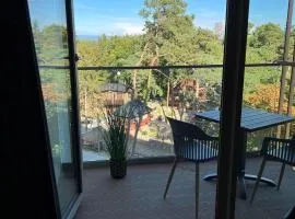 Luxurious apartment near the sea in Pobierowo