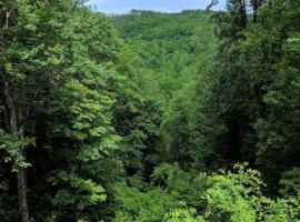 Want to feel like you're Up In The Trees!! What a Great View!, fjallaskáli í Gatlinburg