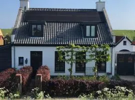 aan de kust - PUUR POLDER HUIS - VP067