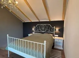 Apartment and Studio Ivan Dolac