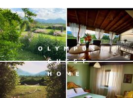 Olympus Guest Home, hotel económico en Káto Miléa