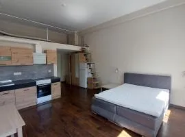 Loft styled apartment near Noblessner