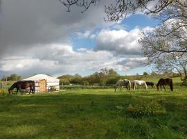 mongolische Jurte im ART.Quartier, tented camp en Velgast