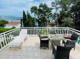 Villa Joković