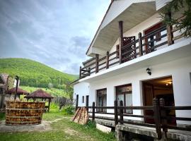 Casa Ariana, country house in Poiana Aiudului