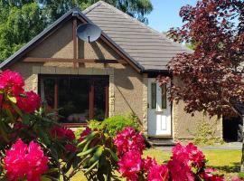 Aviemore Bungalow, Dalfaber, bungalow i Aviemore
