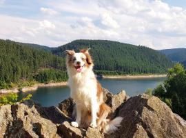 Ferienwohnung Hundeblick: Tambach-Dietharz şehrinde bir ucuz otel