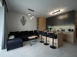 Apartament Laguna Beskidów Parzenica z sauną i siłownią - Dream Apart