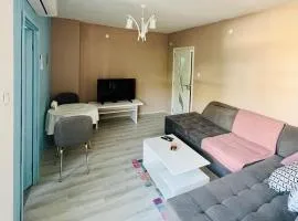 Midtown Apartment