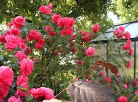Ferienwohnung am Rhein