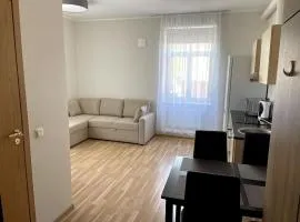 Cozy apartment near the city center, Lembitu