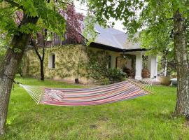 Komfortowy dom w lesie, pet-friendly hotel in Miedzichowo