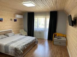 Carpathian Dream Apartments, apartment in Yaremche