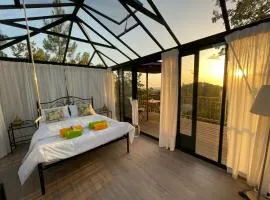 Romantic Skyview Glasshouses