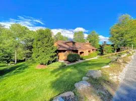 FC20 Remodeled Forest Cottage home - AC, great for kids, lots of yard space! Walk to the slopes!