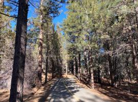 Summit Condo - Luxury condo, walk to the slopes!, condo in Big Bear Lake