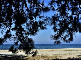 Sofi's Beach Bungalows, haustierfreundliches Hotel in Skala Prinos