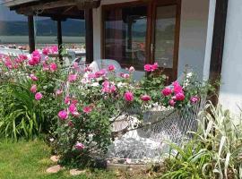 Apartmani sa pogledom na Dunav - Akademik, pet-friendly hotel in Veliko Gradište