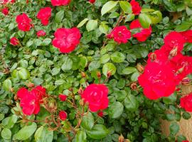 La maison des roses, hotel blizu znamenitosti Saint Marie Hospital Center, Chadrac